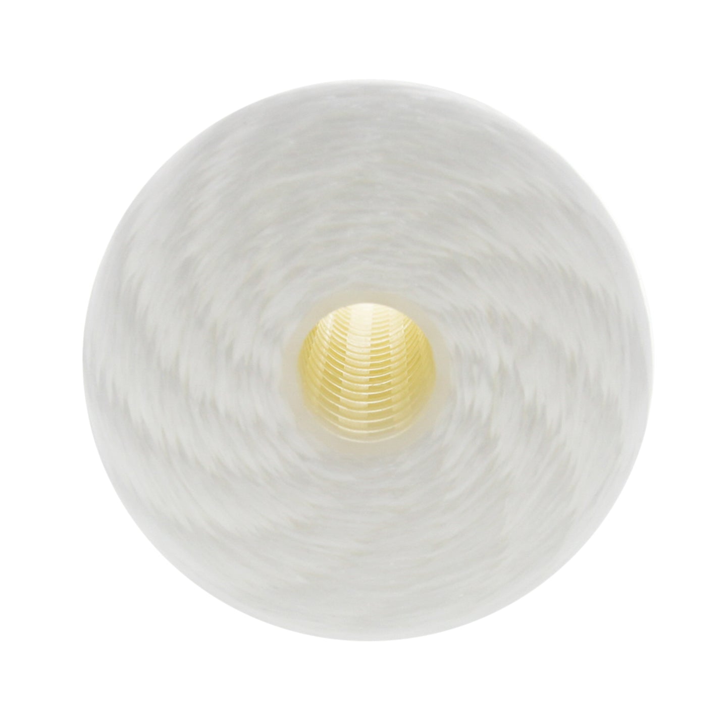 WPX25BB97P Pentek Whole House Filter Replacement Cartridge