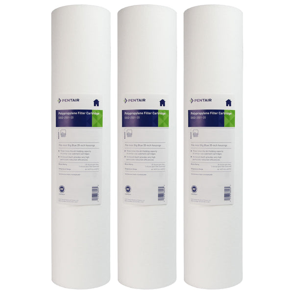 DGD-2501-20 Pentek Whole House Replacement Sediment Filter Cartridge - Whole House Cartridges - 34.95 - DiscountFilterStore.com