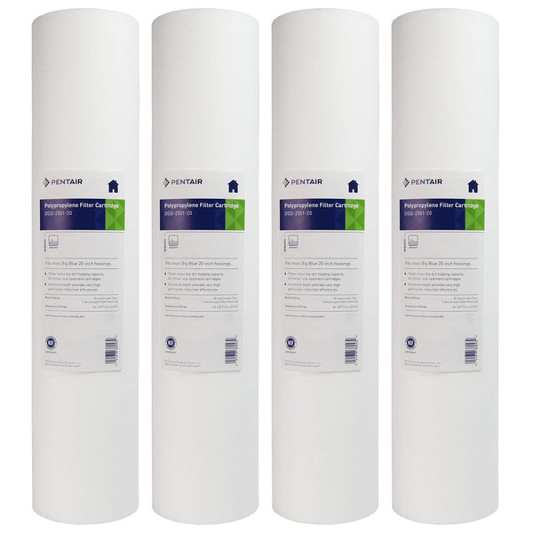 DGD-2501-20 Pentek Whole House Replacement Sediment Filter Cartridge - Whole House Cartridges - 34.95 - DiscountFilterStore.com