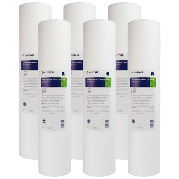 DGD-2501-20 Pentek Whole House Replacement Sediment Filter Cartridge - Whole House Cartridges - 34.95 - DiscountFilterStore.com