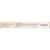 S212RL Viqua Water Disinfection System UV Lamp - DiscountFilterStore.com