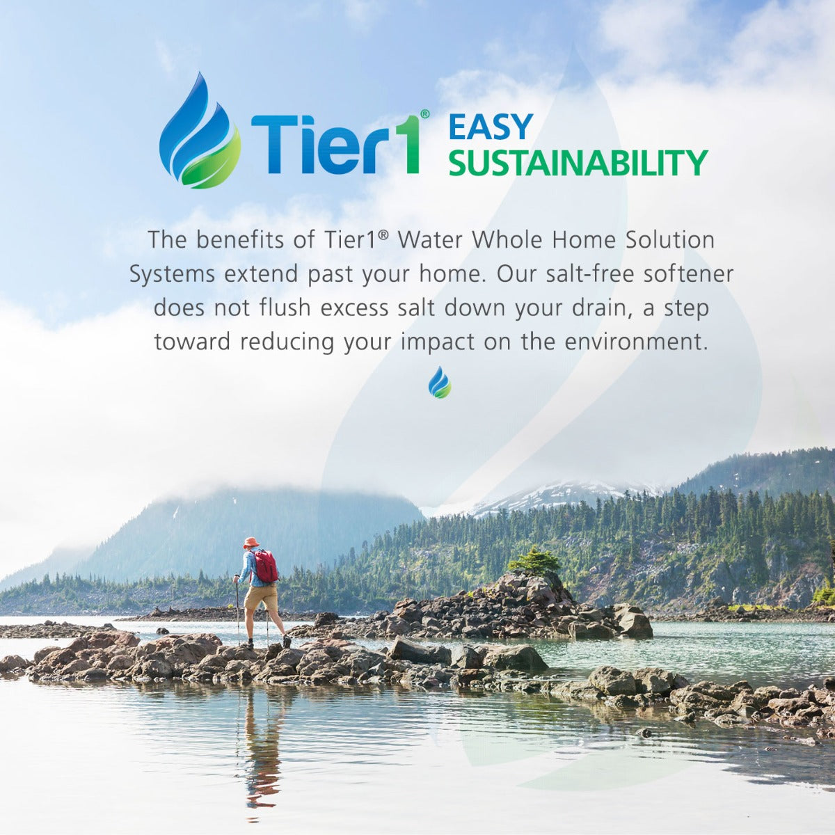 Eco Series Salt Free Water Softener Alternative with Chlorine, Taste & Odor Reduction System by Tier1 for 4 - 6 Bathrooms - DiscountFilterStore.com