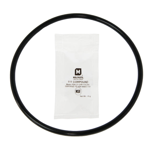 USWF Filter Set For 2-Stage PFAS (Forever Chemicals) Reduction System, 10"X4.5" Sediment 5 Micron & 20"X4.5" PFAS Reduction Carbon Block 0.5 Micron - Whole House Cartridges - 132.37 - DiscountFilterStore.com