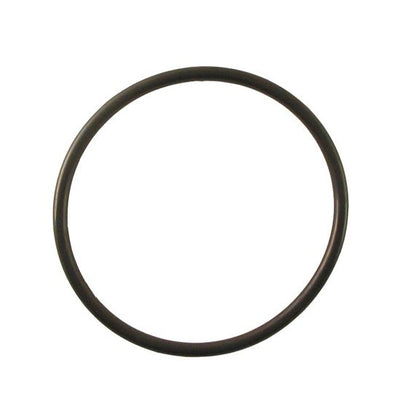 OK25 OmniFilter O-Ring - Parts and Accessories - 10.26 - DiscountFilterStore.com