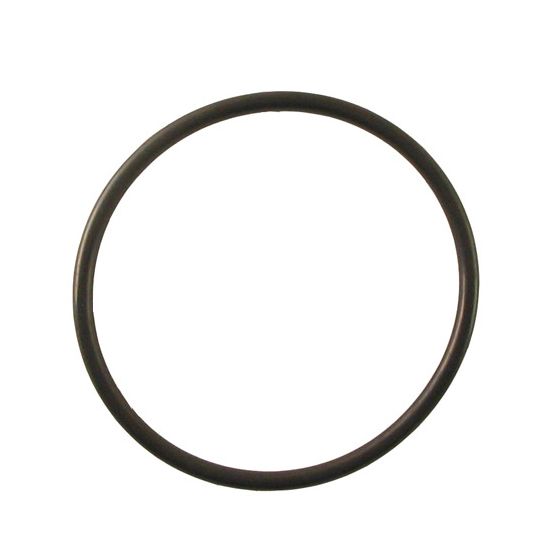 OK25 OmniFilter O-Ring - DiscountFilterStore.com