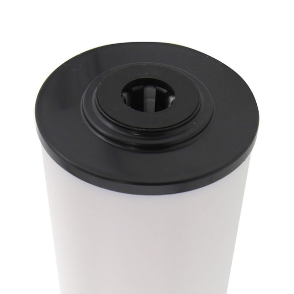 BBF1-20MB Pentek Whole House Filter Replacement Cartridge - Whole House Cartridges - 188.57 - DiscountFilterStore.com
