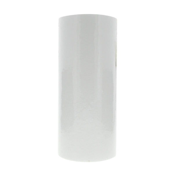 DGD-2501 Pentek Whole House Filter Replacement Cartridge - Whole House Cartridges - 19.45 - DiscountFilterStore.com