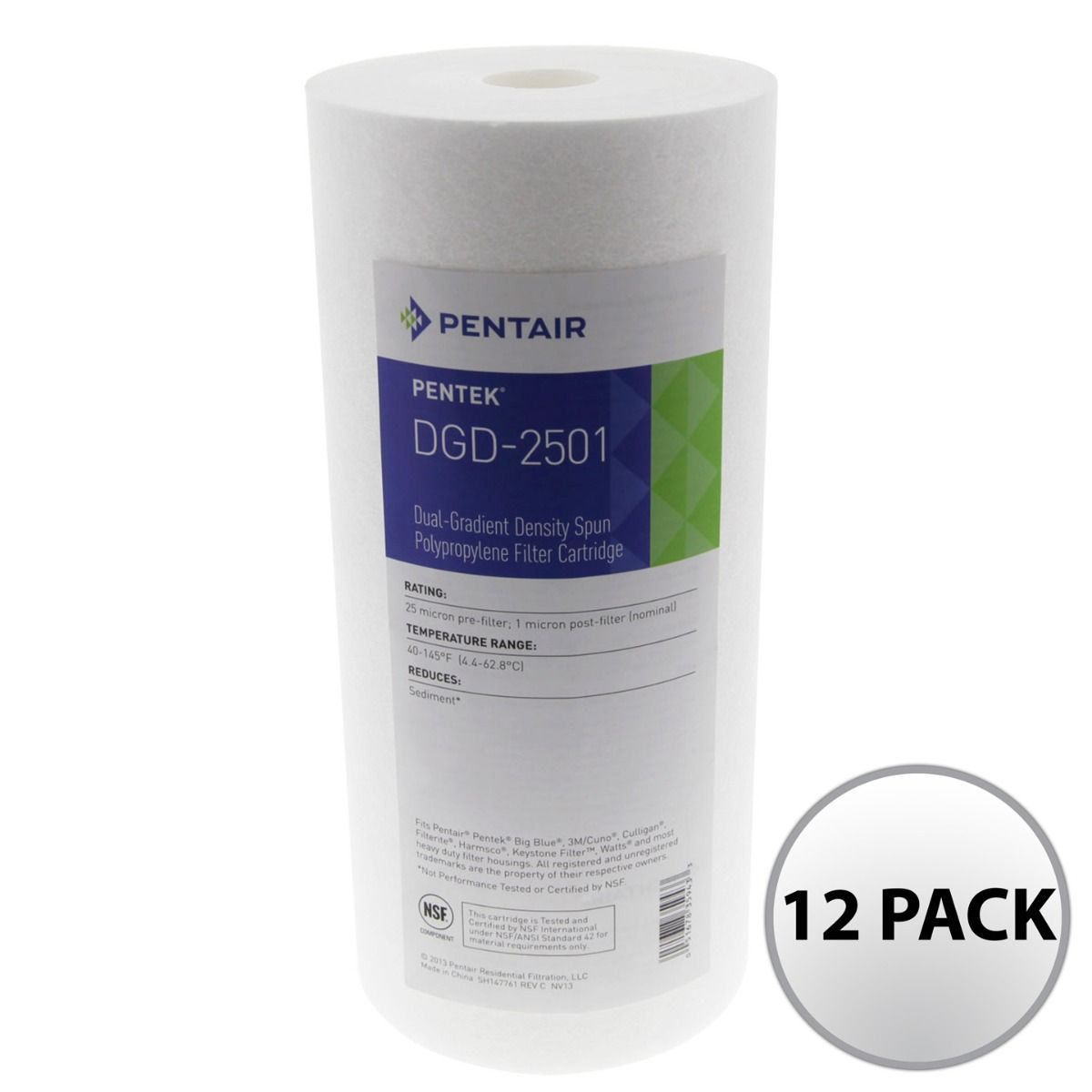 DGD-2501 Pentek Whole House Filter Replacement Cartridge - DiscountFilterStore.com