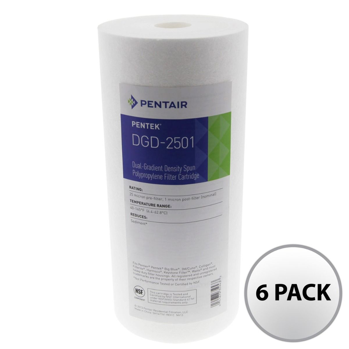 DGD-2501 Pentek Whole House Filter Replacement Cartridge - DiscountFilterStore.com