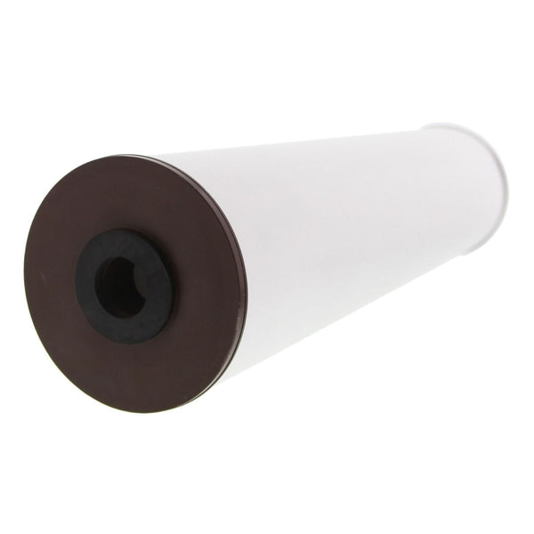 RFFE20-BB Pentek Iron Reducing Water Filter Cartridge (20 in x 4.5 in) - Whole House Cartridges - 136.39 - DiscountFilterStore.com