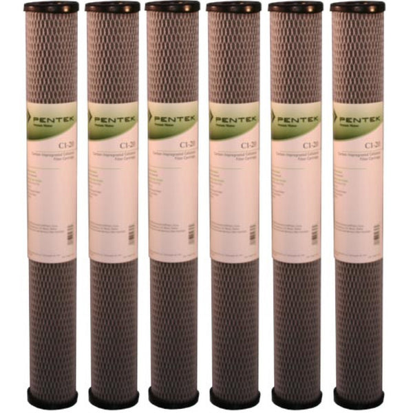 C1-20 Pentek Replacement Filter Cartridge - Whole House Cartridges - 22.28 - DiscountFilterStore.com