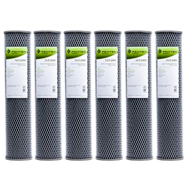 NCP-20BB Pentek Whole House Filter Replacement Cartridge - Whole House Cartridges - 65.72 - DiscountFilterStore.com