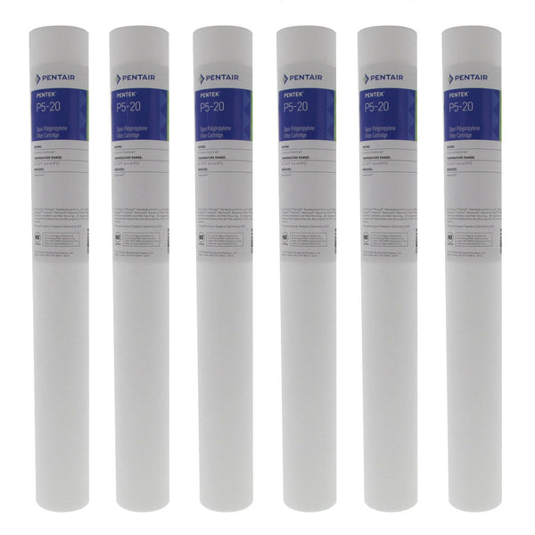 P5-20 Pentek Whole House Filter Replacement Cartridge - Whole House Cartridges - 15.39 - DiscountFilterStore.com