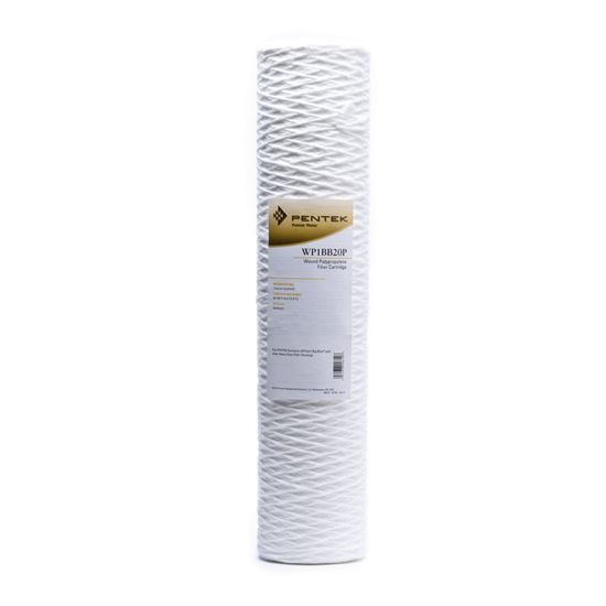 WP1BB20P Pentek Whole House Filter Replacement Cartridge - DiscountFilterStore.com