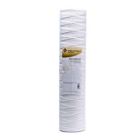 WP25BB20P Pentek Whole House Filter Replacement Cartridge - DiscountFilterStore.com