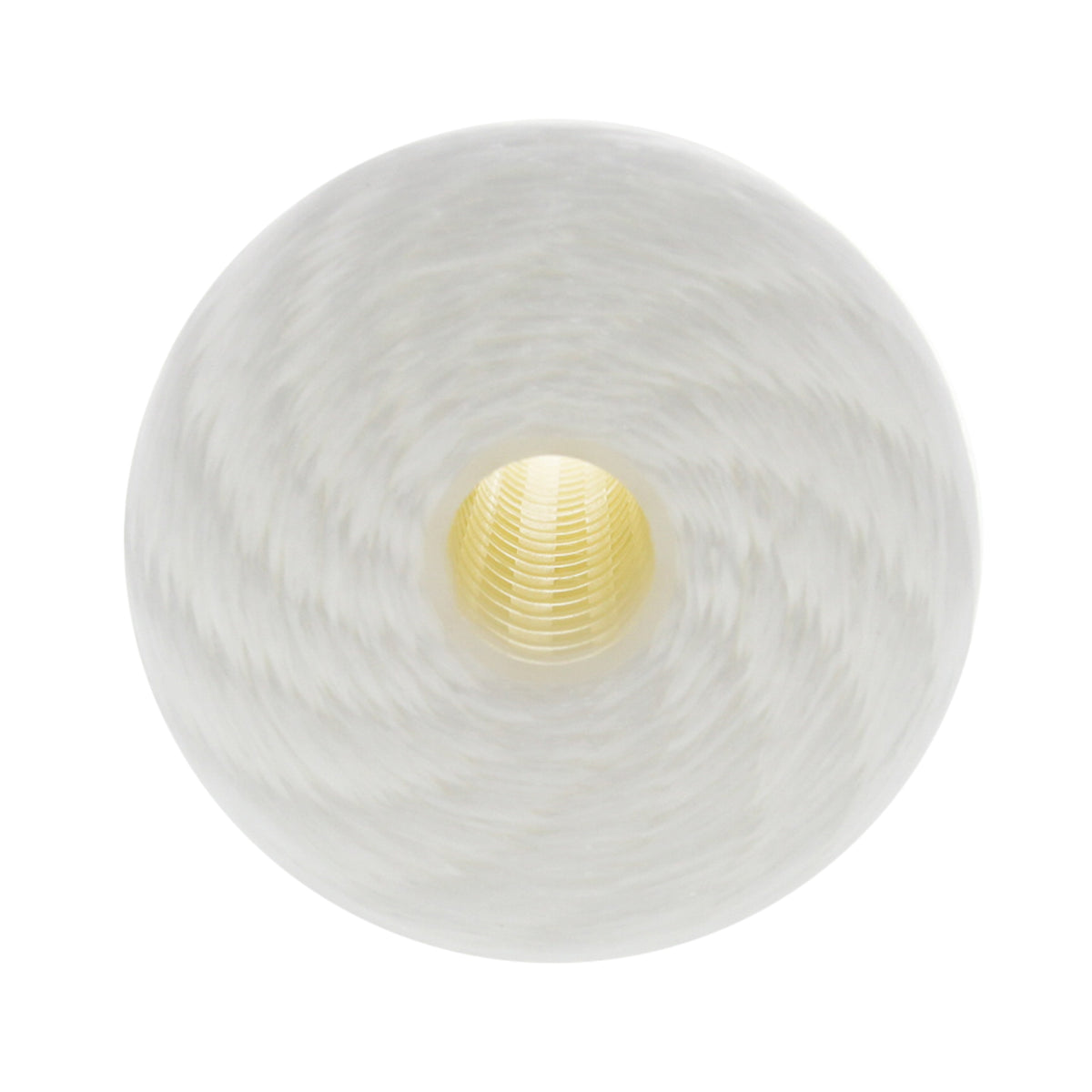 WPX25BB97P Pentek Whole House Filter Replacement Cartridge