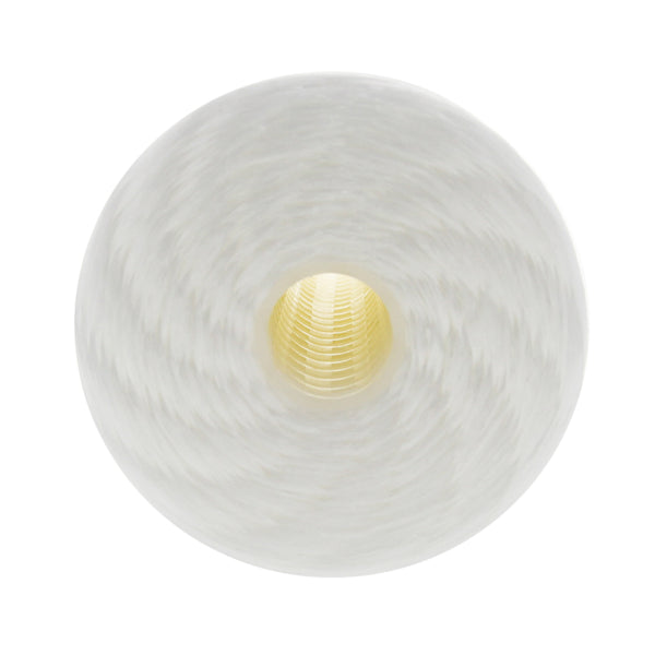 WPX25BB97P Pentek Whole House Filter Replacement Cartridge - Whole House Cartridges - 34.99 - DiscountFilterStore.com