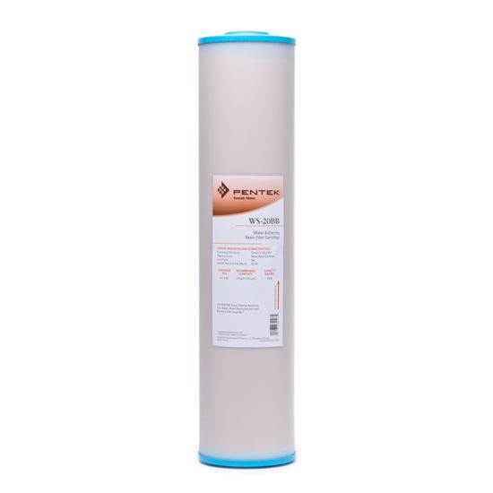WS-20BB Pentek Whole House Filter Replacement Cartridge - DiscountFilterStore.com