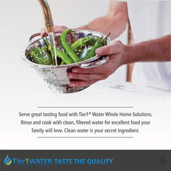 Precision Series Whole House Water Filtration System for Chloramine and Chlorine, Taste & Odor Reduction by Tier1 for 4 - 6 Bathrooms - Whole House Systems - 1257.39 - DiscountFilterStore.com
