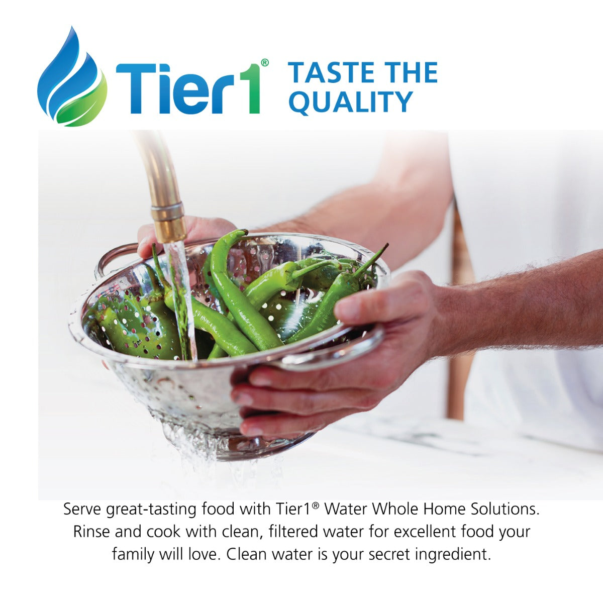 Eco Series Salt Free Water Softener Alternative System with Chlorine, Taste & Odor Reduction by Tier1 - DiscountFilterStore.com