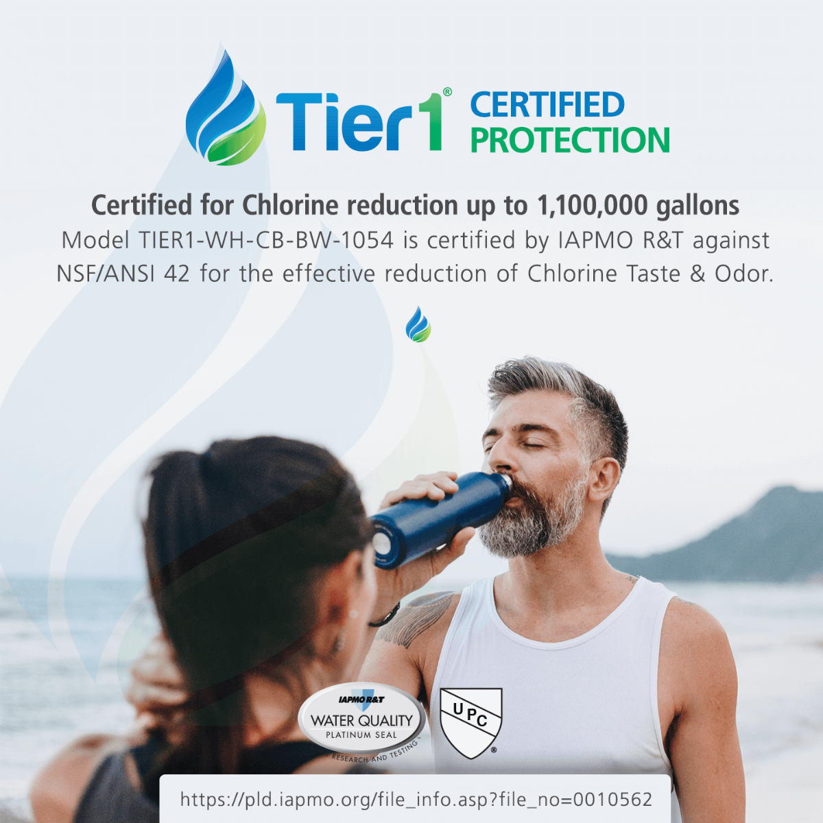 Precision Series Whole House Chlorine Reduction System by Tier1 (1,100,000 Gallon Capacity) - DiscountFilterStore.com
