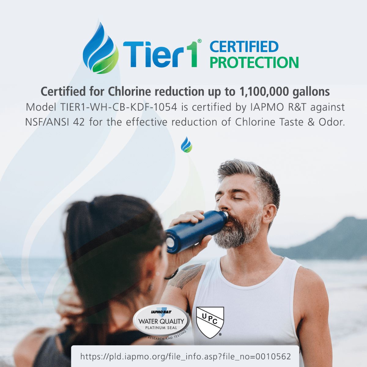 Eco Series Whole House Chlorine Reduction System by Tier1 (1,100,000 Gallon Capacity) - DiscountFilterStore.com