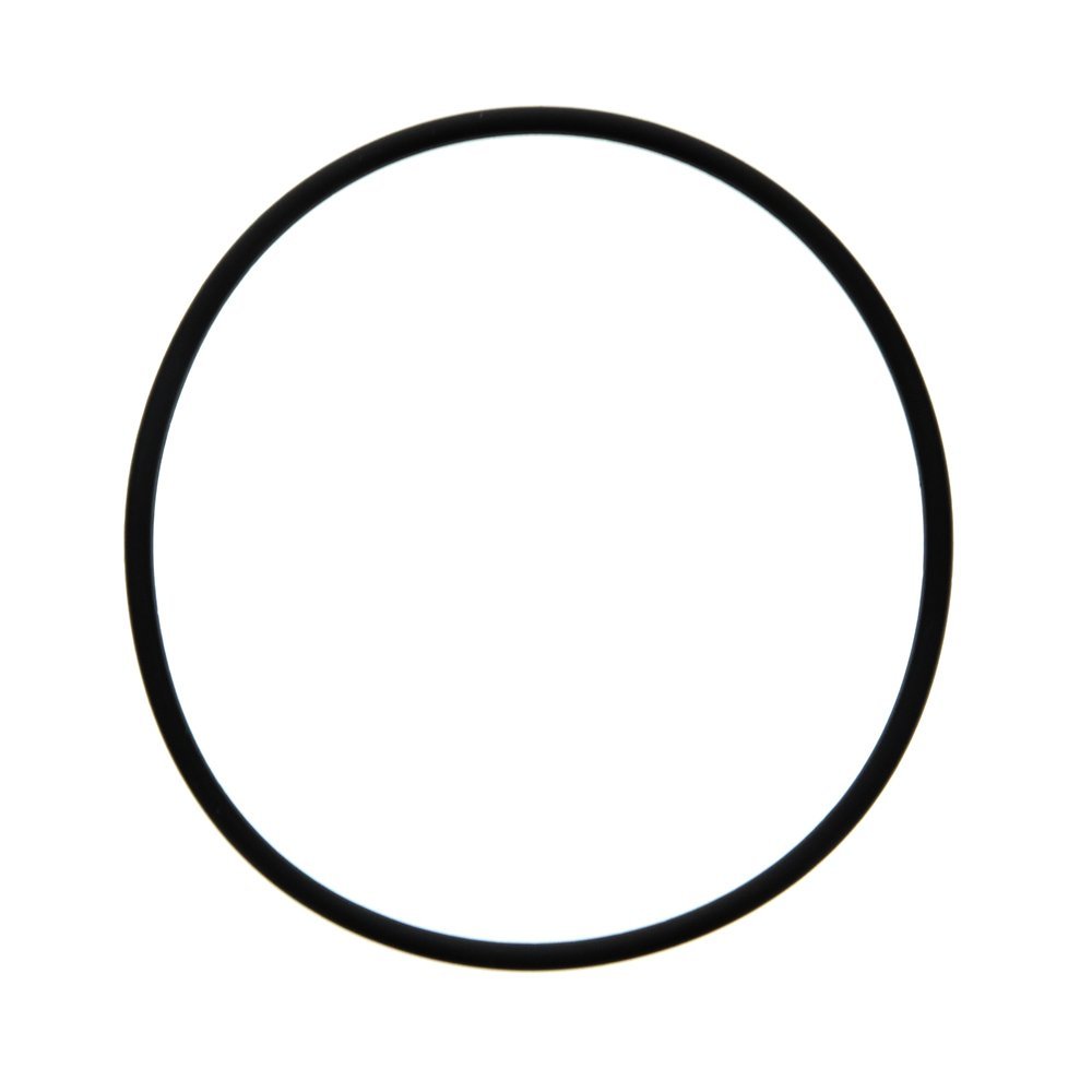 ws03x10038 GE SmartWater O-Ring - Parts and Accessories - 9.79 - DiscountFilterStore.com